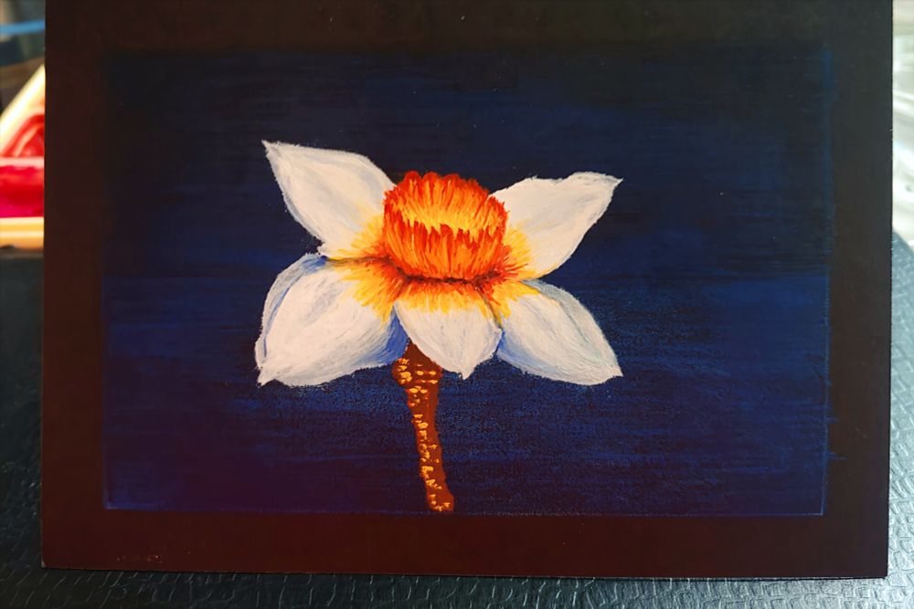 gouache painting of a daffodil (narcissus) 