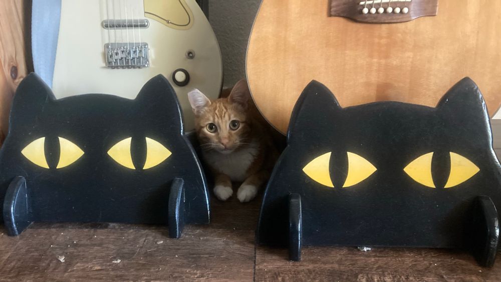 cat peering out from between 2 cat shaped guitar stands