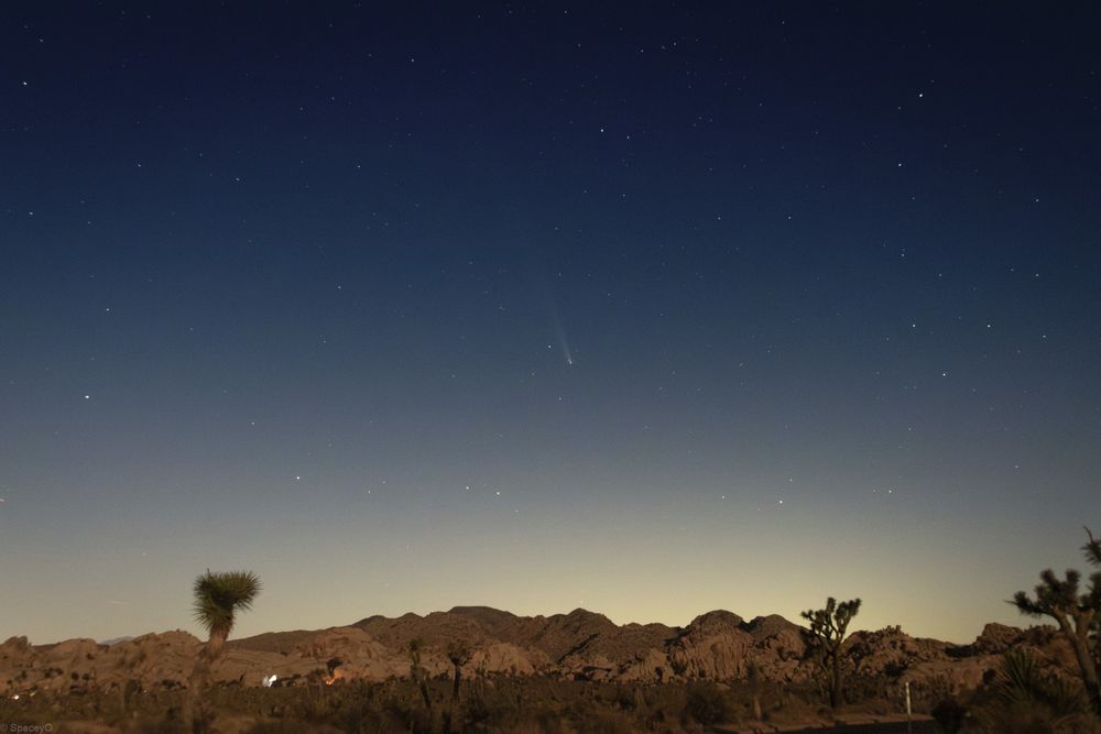 C/2023 A3 (Tsuchinshan–ATLAS) setting over Joshua Tree National Park