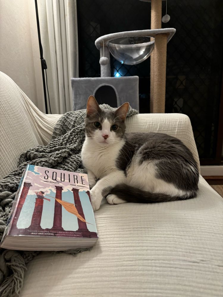 Cat next to a graphic novel titled “Squire”