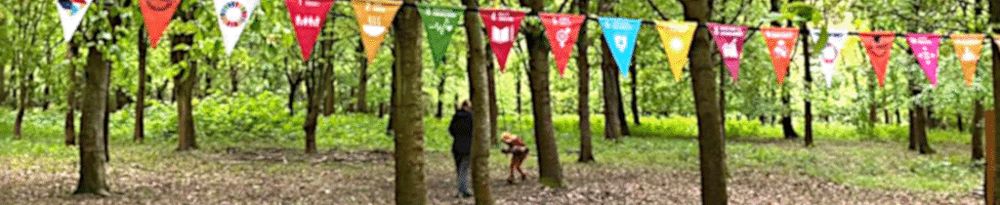Brightly coloured bunting with SDGs Goals hanging in a green woodland