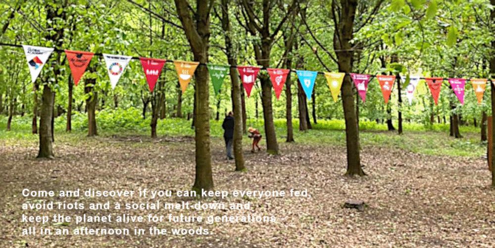 Coloured banners with SDGs Goals hanging in a green woodland