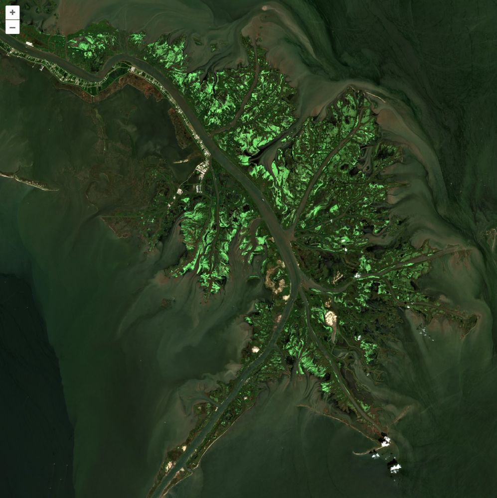 Mississippi River delta