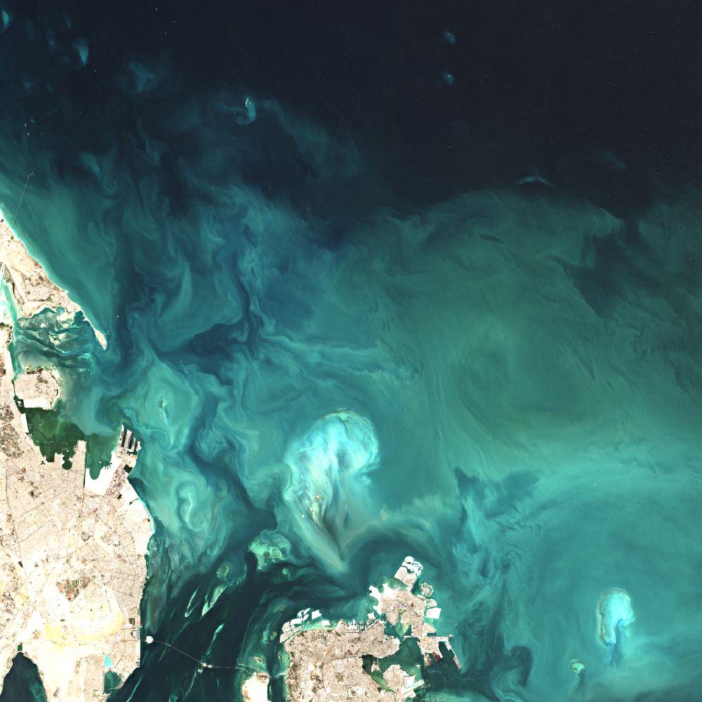 Sentinel Satellite Image in the eastern Persian Gulf