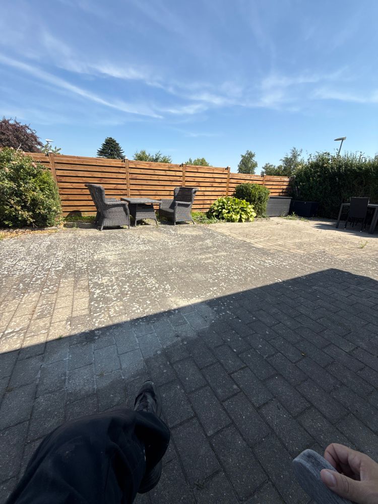 Picture of a garden. 