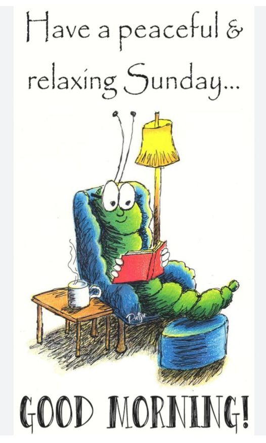 Comment image