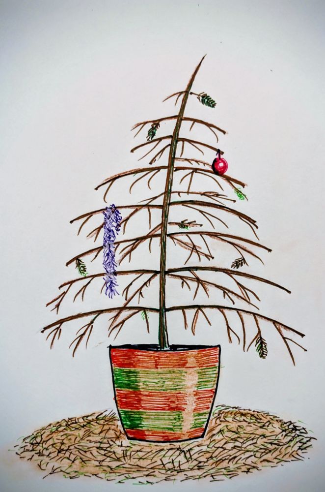 Drawing of a dead Christmas tree 