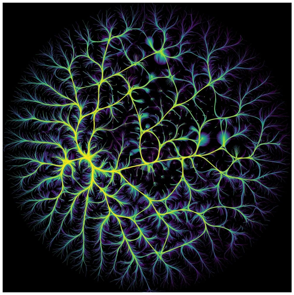 organic looking network representing the internet BGP nodes. Viridis colormap.