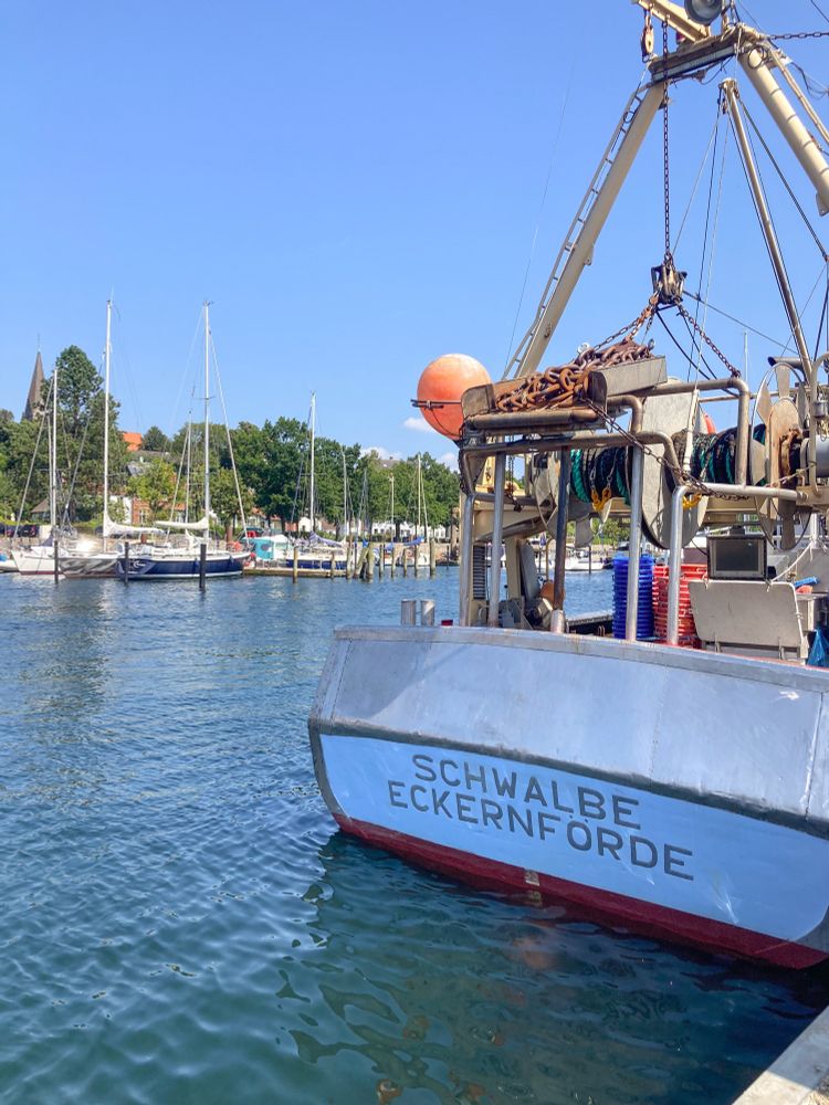 Der Segelboothafen von Eckernförde. Rechts im Vordergrund ist das Heck eines kleinen Schiffes zu sehen auf dem “Schwalbe Eckernförde” steht. Im Hintergrund liegen weitere Segelboote am gegenüberliegenden Ufer. Blauer Himmel, sommerliche Stimmung