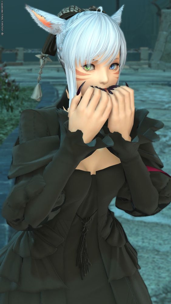 FCマスター視点のわたし