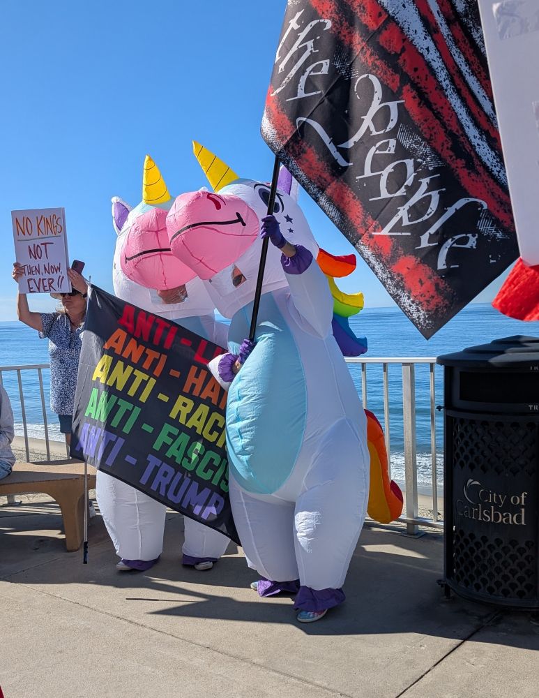 Two people in unicorn costumes holding flags.