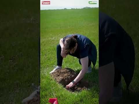 Crops and Technology Open Day - Soils