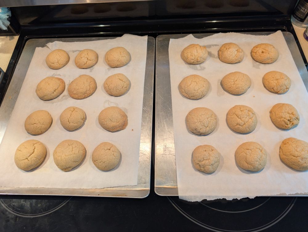 Two baking trays with 12 baked sugar cookies. The trays are on top of a stove with parchment paper applied to prevent the dough from sticking. 