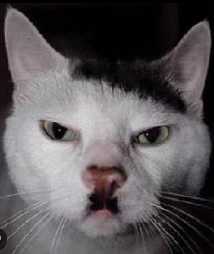 Comment image