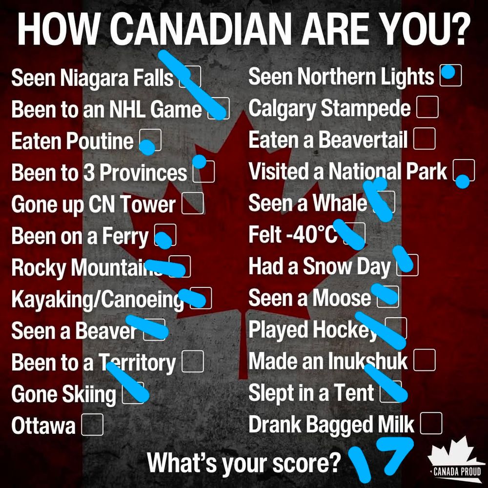 A list of 24 canadian-ish things people do. I've checked 17 of them.