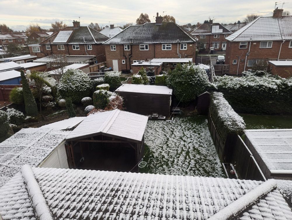 View of a garden with some snow - not a huge amount but enough for the account to post it with pride 