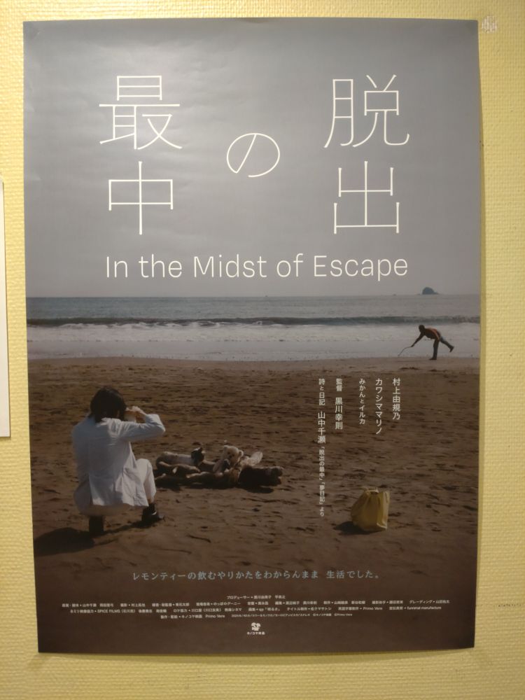 映画『脱出の最中』のポスター
