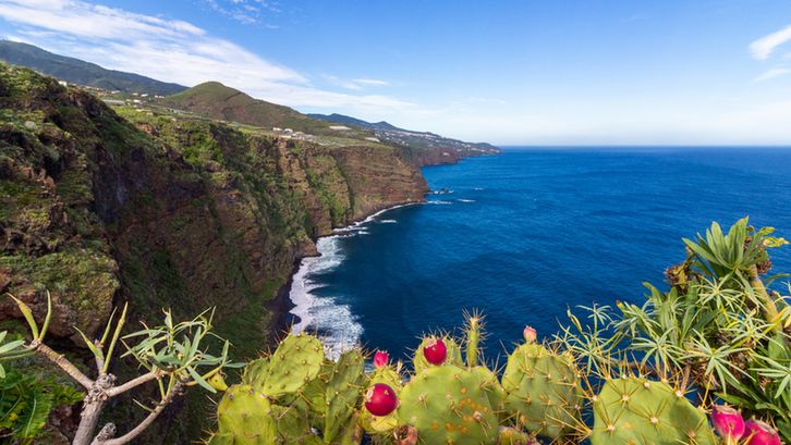 Gren cacti overlook the ocean and a cliff face on La Palma island, Gran Canaria
