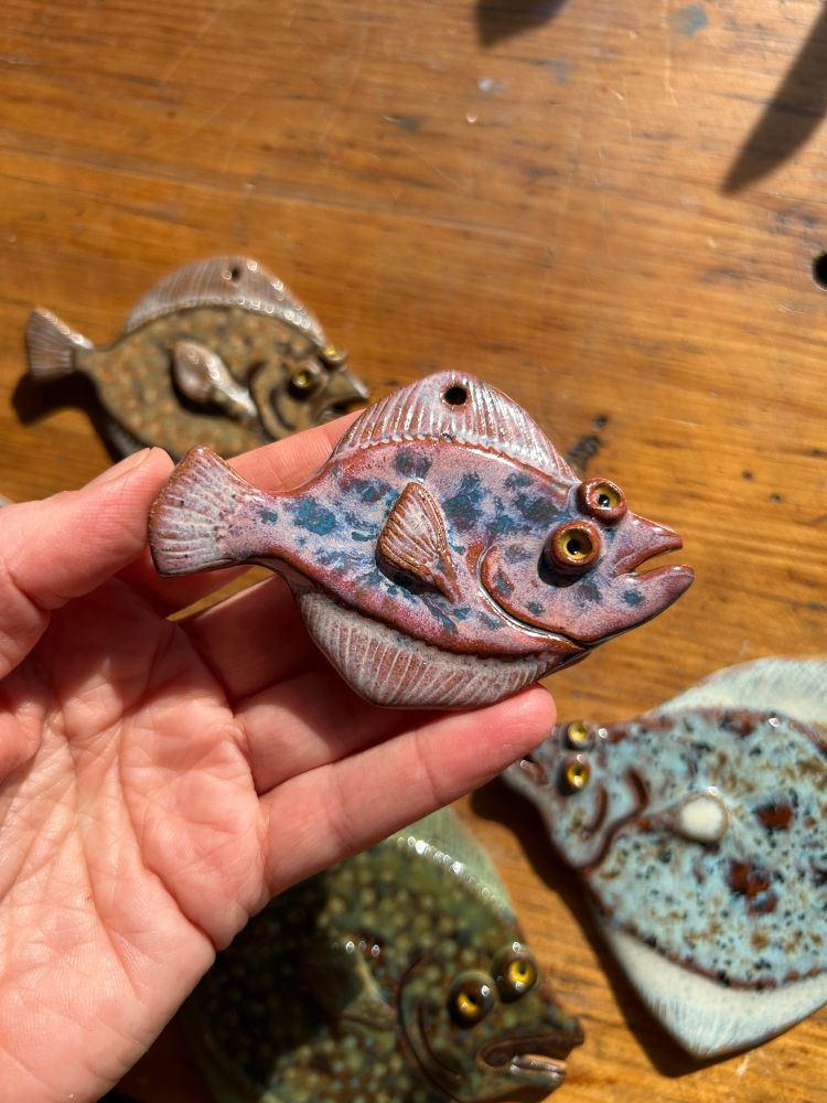 This flatfish is pink with purple-blue splotches!