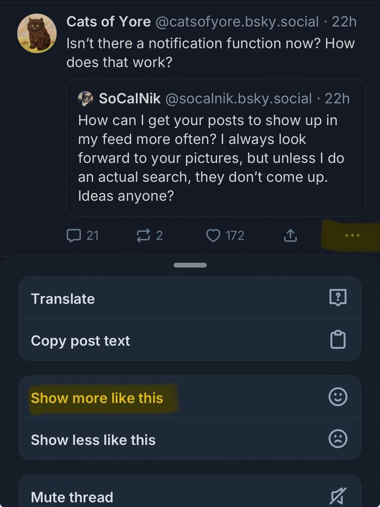 A screenshot of Bluesky, showing the “More”/“Options” menu of a post, highlighting the option “Show more like this”.