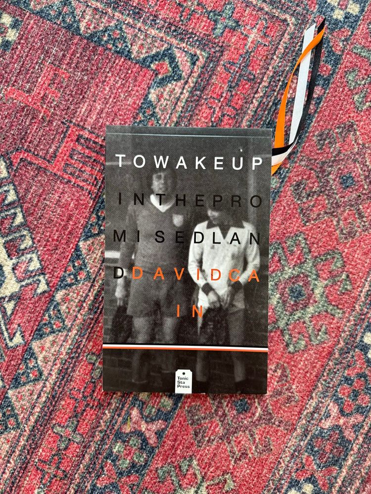 Book cover of To wake up in the promised land by David Cain