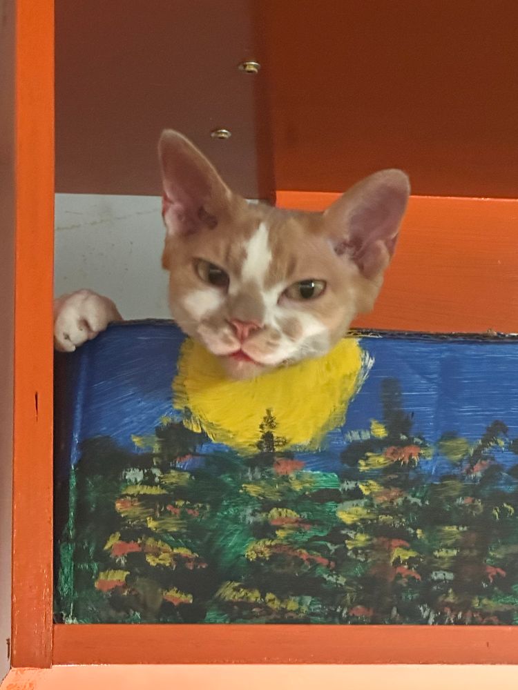 An orange and white Devon Rex cat is lounging in a box that has been painted with a forest scene. A front paw is resting on the edge. 
