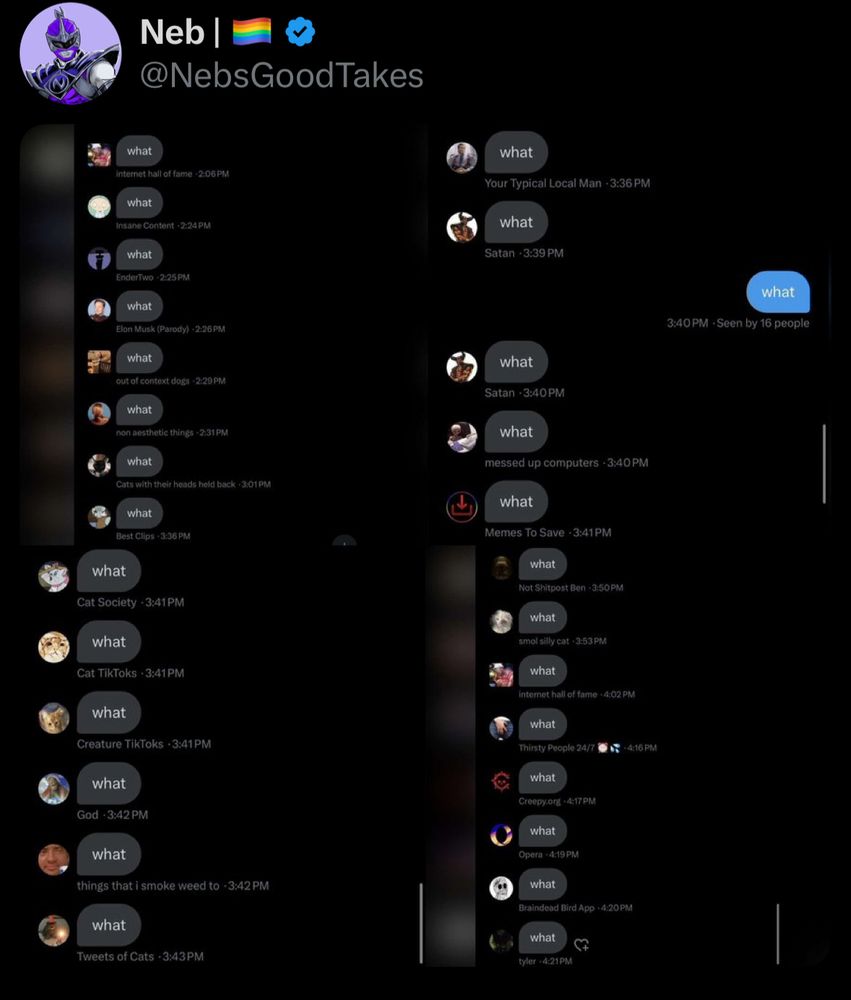 All the major gimmick accounts in a group chat together 
