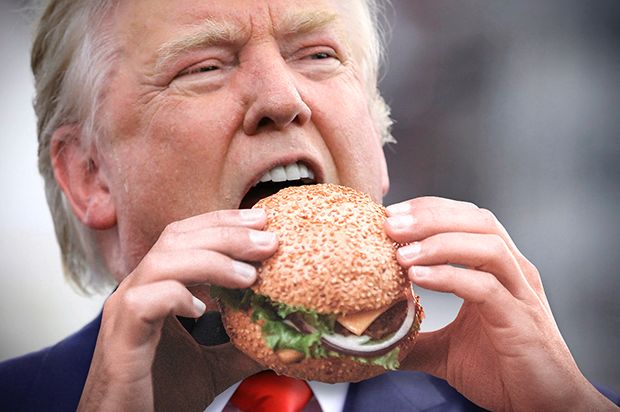 Donald Trump, an obese orange man in a blue suit and red tie, his mouth gaping to fit a loaded burger. His tiny fingers barely fit around the bun, but his gaping maw dwarfs it. 