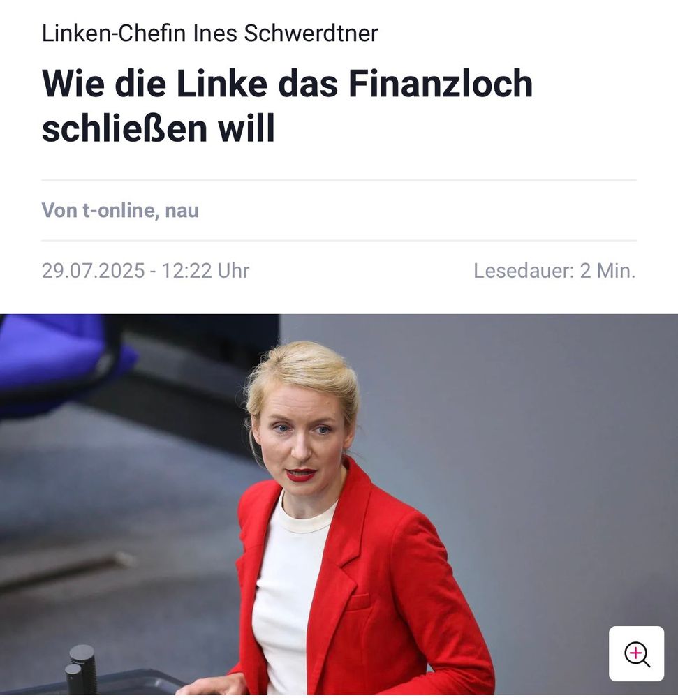 Screenshot Zeitungsartikel: Wie die Linke das Finanzloch schließen will.