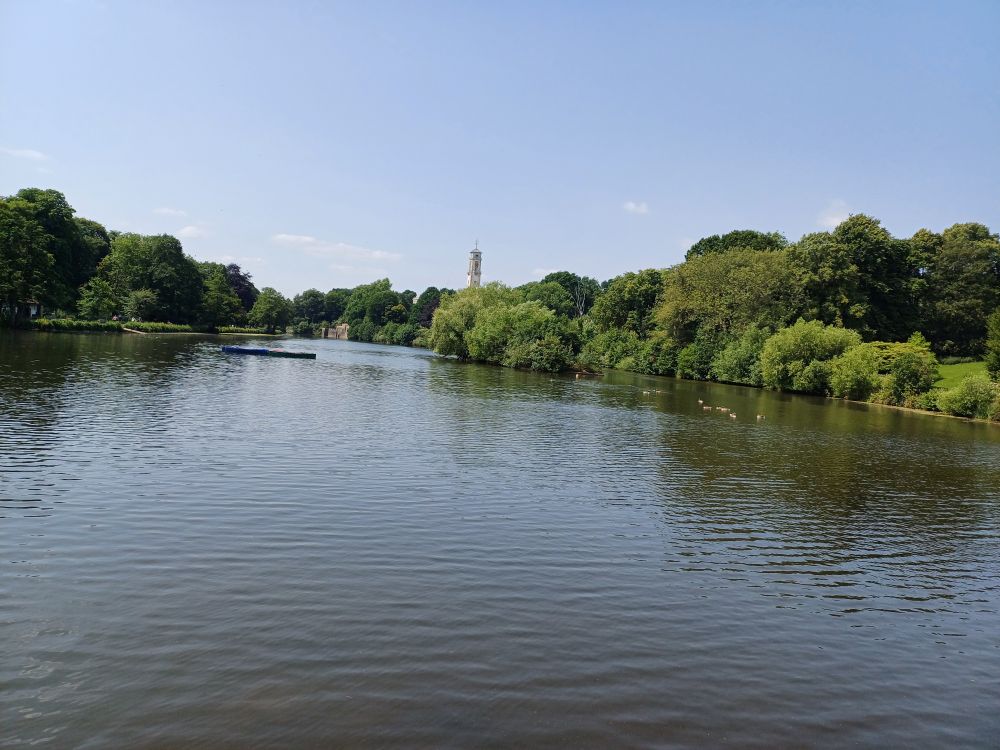 View of a lake lined by green trees and shrubs under a blue sky.