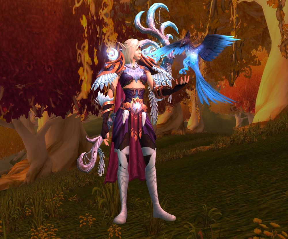 Blood elf druid with medium length white hair dressed in gold, maroon, and purple clothing with white feathery accessories and a white staff. A blue phoenix is landing on their outstretched hand. The background is Eversong Woods, an enchanted forest with yellow and pink trees.