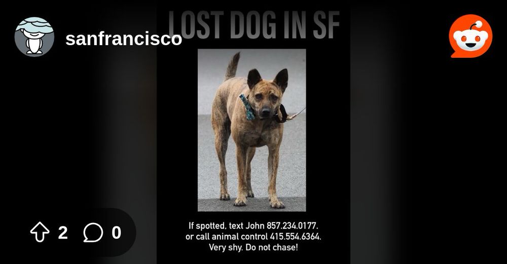 Explore this post and more from the sanfrancisco community
