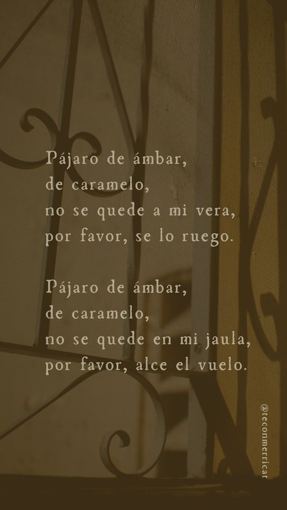 El fondo es una verja de forja de una ventana. Sobre él está el siguiente poema: 

Pájaro de ámbar,
de caramelo,
no se quede a mi vera,
por favor, se lo ruego.
Pájaro de ámbar,
de caramelo,
no se quede en mi jaula,
por favor, alce el vuelo.

Abajo a la derecha está mi usuario @teconmerricat