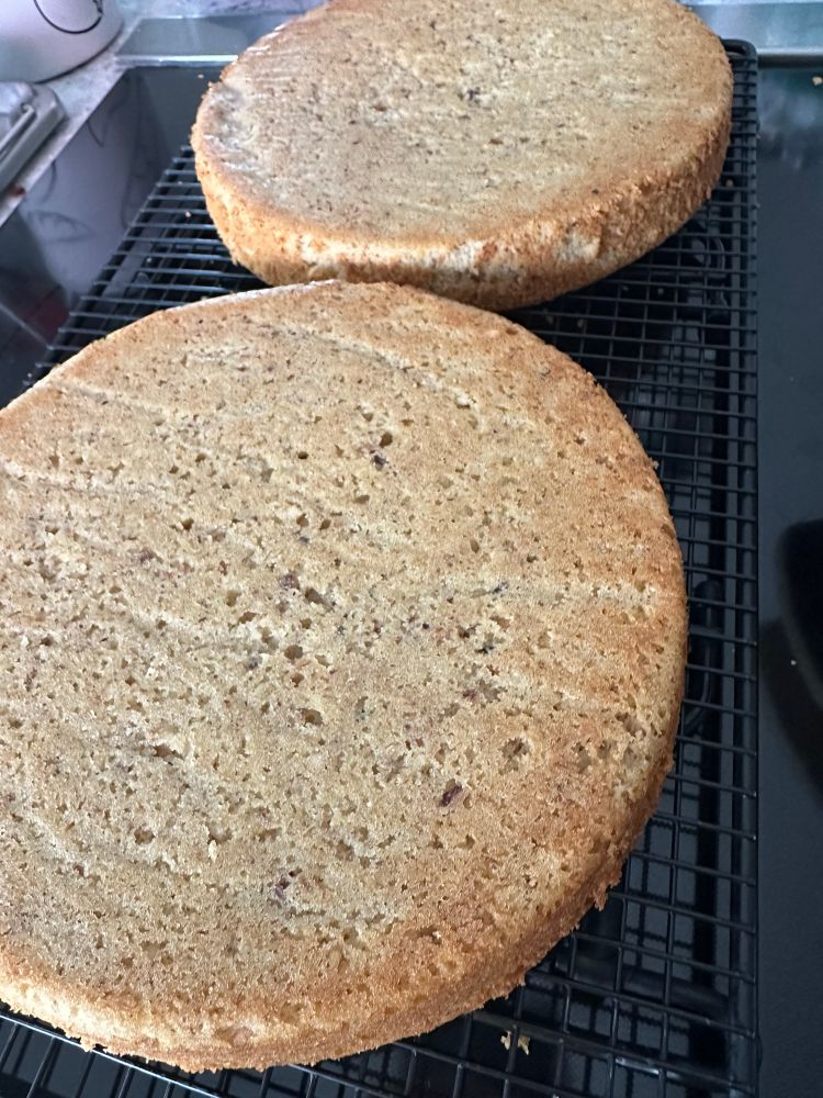 Two hazelnut cake layers cooling on a wire rack. 