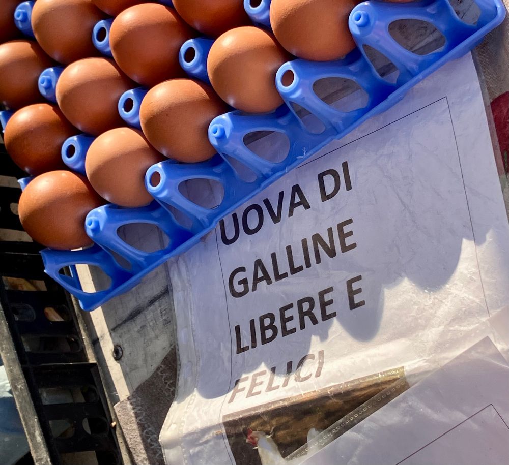 Eggs and a sign that reads 
UOVA DI GALLINE
LIBERE E
FELICI