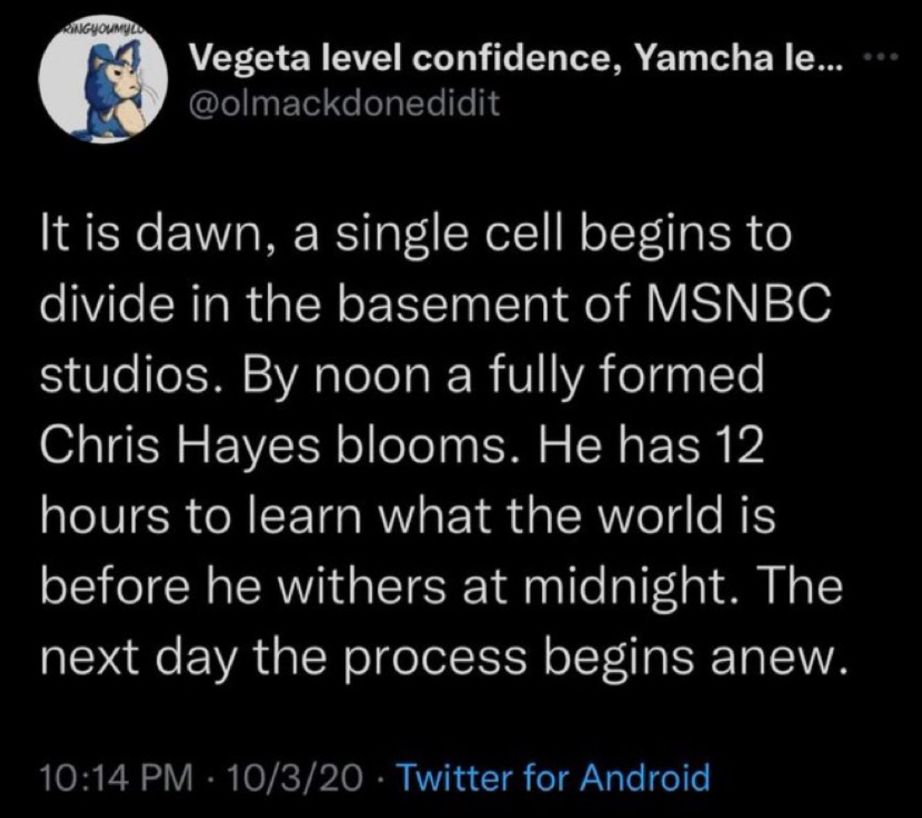 Tweet from @olmackdonedidit:

It is dawn, a single cell begins to divide in the basement of MSNBC studios. By noon a fully formed Chris Hayes blooms. He has 12 hours to learn what the world is before he withers at midnight. The next day the process begins anew.