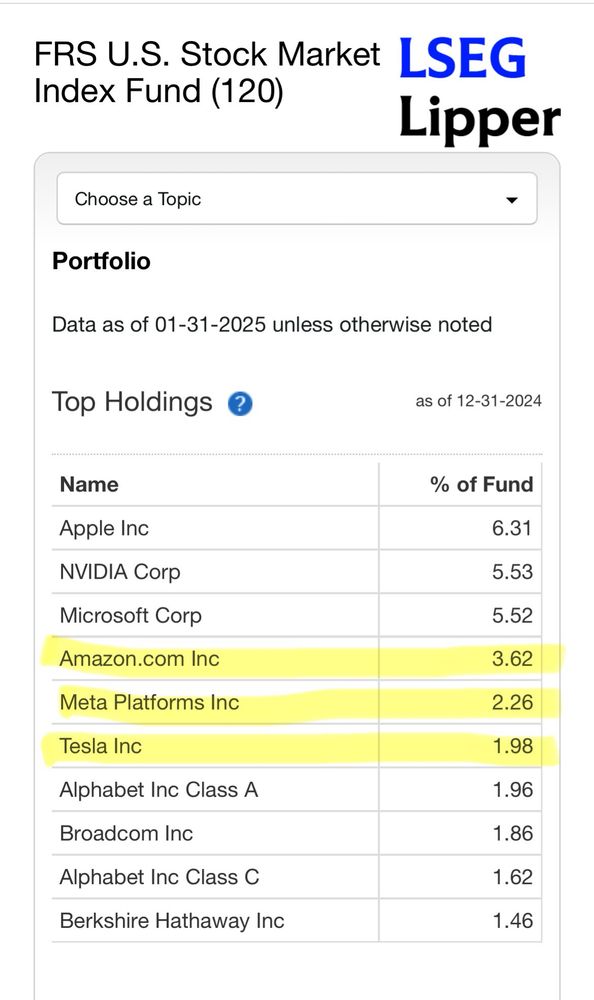 US stock funds include Tesla and Meta and Amazon in its portfolio
