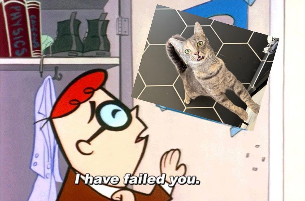 Cartoon boy scientist Dexter saying “I have failed you” to a photo of a tabby cat