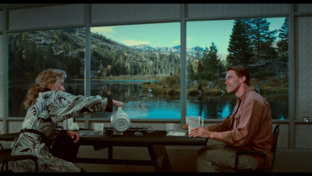 A scene from the movie Total Recall where Sharon Stone and Arnold Schwarzenegger's characters are sitting at a table drinking tea. In the background are a set of monitor screens displaying a nature scene across all of them. A large pond with a large mountain range covered in trees can be seen. What appears to be a large island with several trees is seen in the middle-right of the pond.