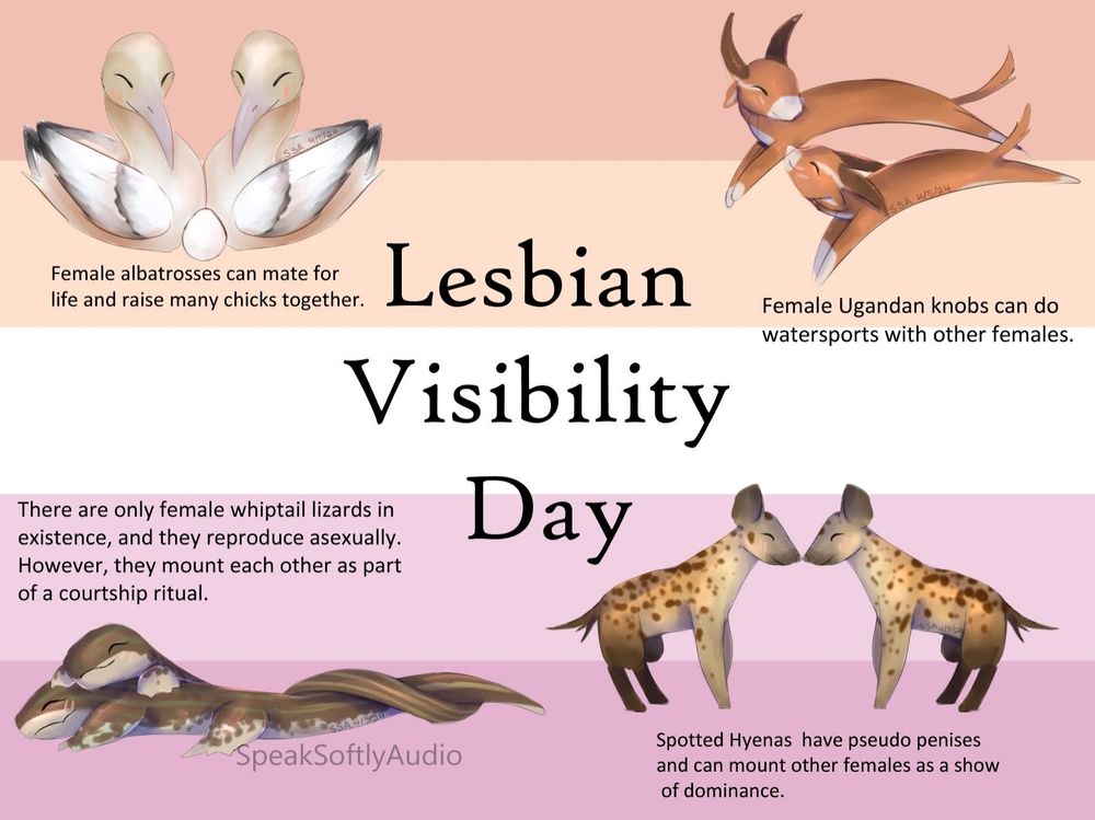 Lesbian animals and fun facts about them