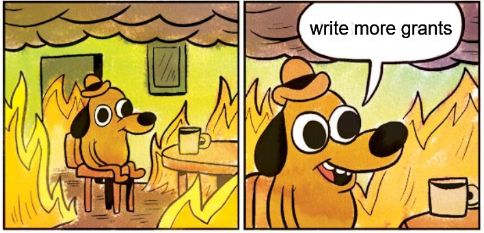dog sitting in burning room meme, but instead of "this is fine" dog is saying "write more grants"