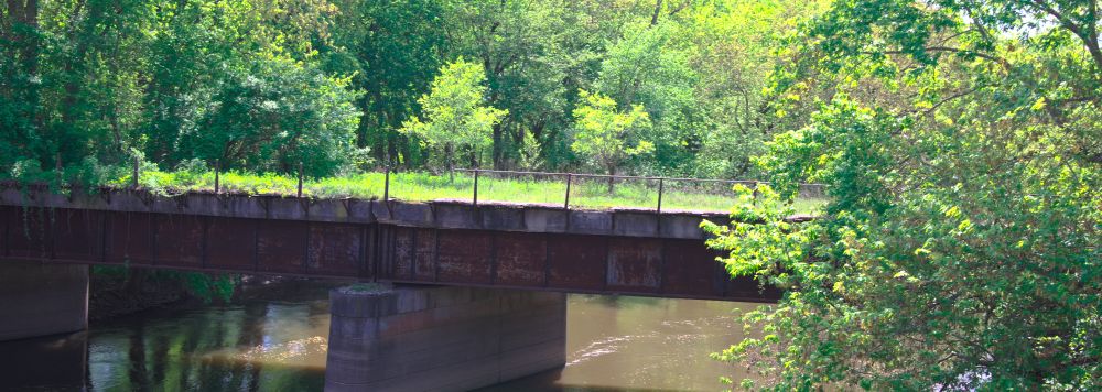green scenery on an abandoned bridge with water running underneath