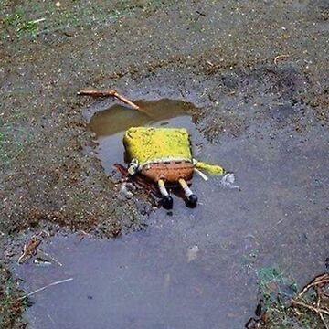 SpongeBob in the mud meme or whatever