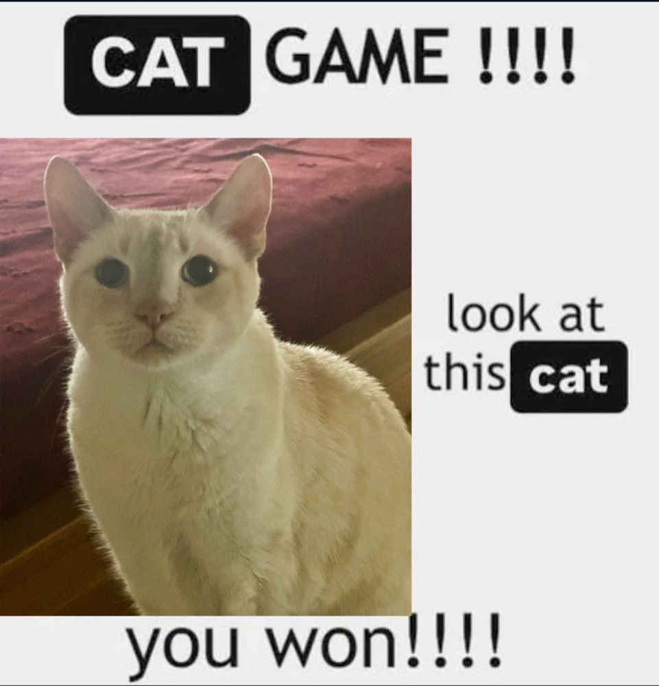 an image that says "CAT GAME !!!! look at this cat. you won!!!!" including, of course, a picture of my cat linus