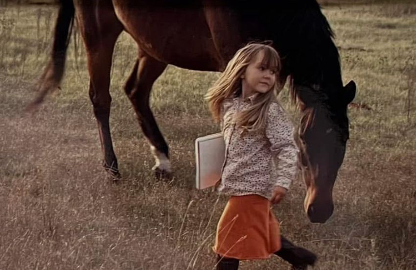 golden sun friendship: 
child runs with drawing pad 
horse grazes the field

📸 samuel hagen 