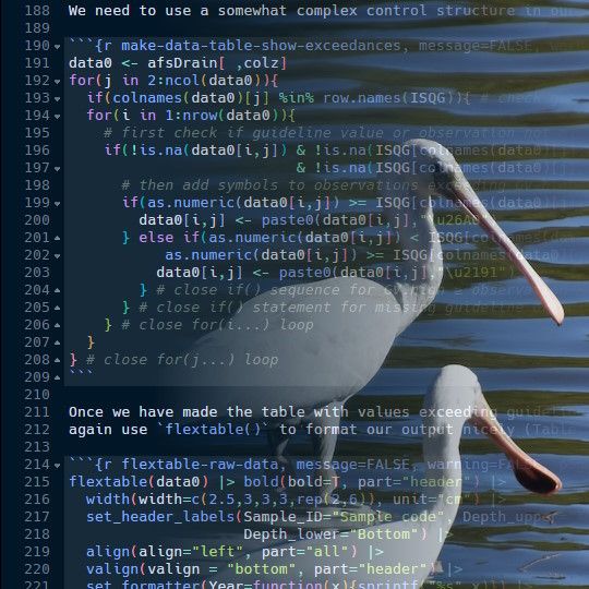 composite image of some R code blended with a photograph of two white spoonbill birds with yellow bills on water. The colour palette is predominantly blue, and the code is 'dark mode' with light text on a dark background.
