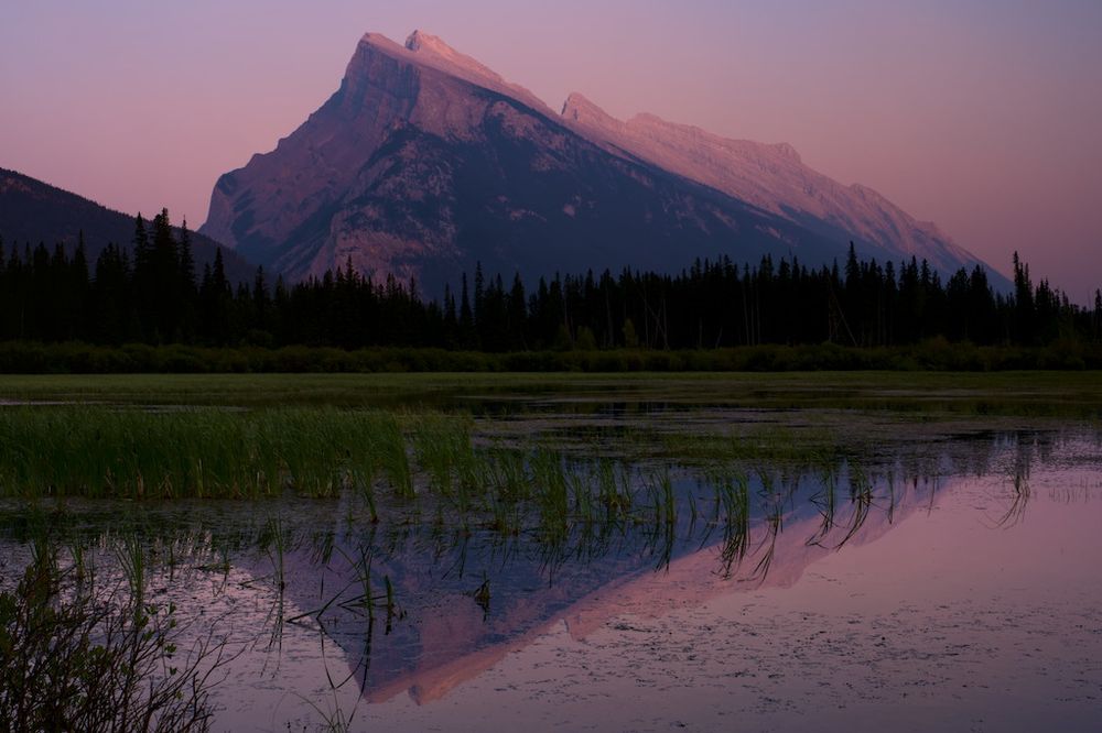 Pink sunset light envelops Mount Rundle while its reflection is mirrored in the still waters of Vermillion Lakes in Banff national park.