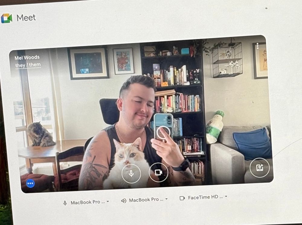 A screencap of a Google meet video, featuring Mel. They have Tesla, a large white cat on their lap. Hobgoblin, a small tortoiseshell Persian cat is on the table behind them. 