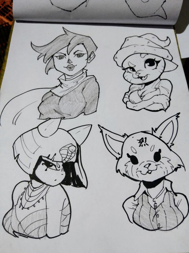 What you read on the other picture