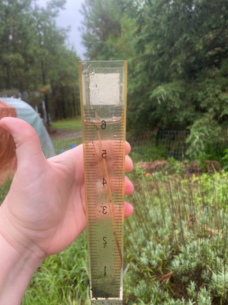 A hand holding a rain gauge (backwards) that shows 6 inches of rain has been collected. This happened in a little over 48hrs.
